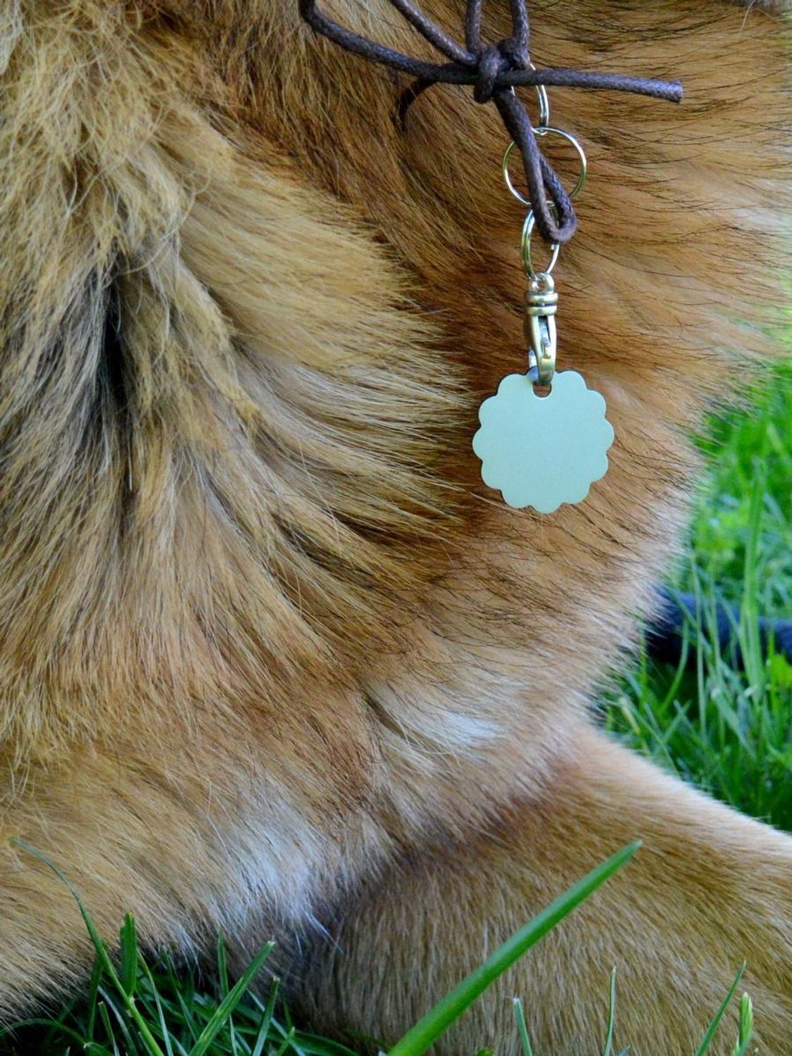 Blaszka dla pupila kwiatek 2,5 cm z miejscem na grawer Kwiatek silver M. Blaszka w formie adresówki, identyfikatora dla psa. Blaszka z miejscem na grawer. Na adresówce możemy wygrawerować np. imię psa i nr telefonu do właścic.jpg